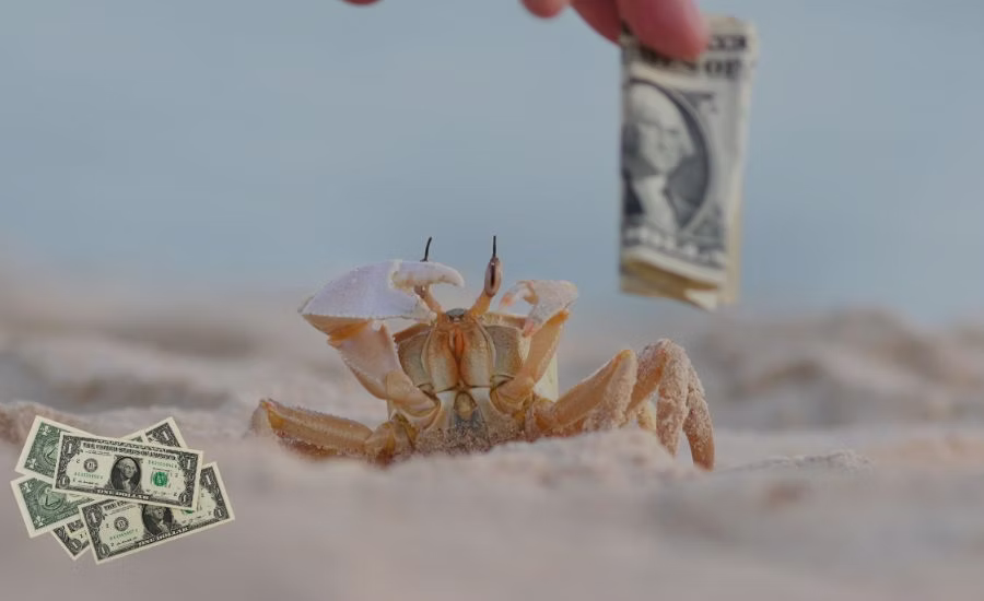 Featured Image for Quantifying Cyber Risk in Dollars CFOs Can Defend